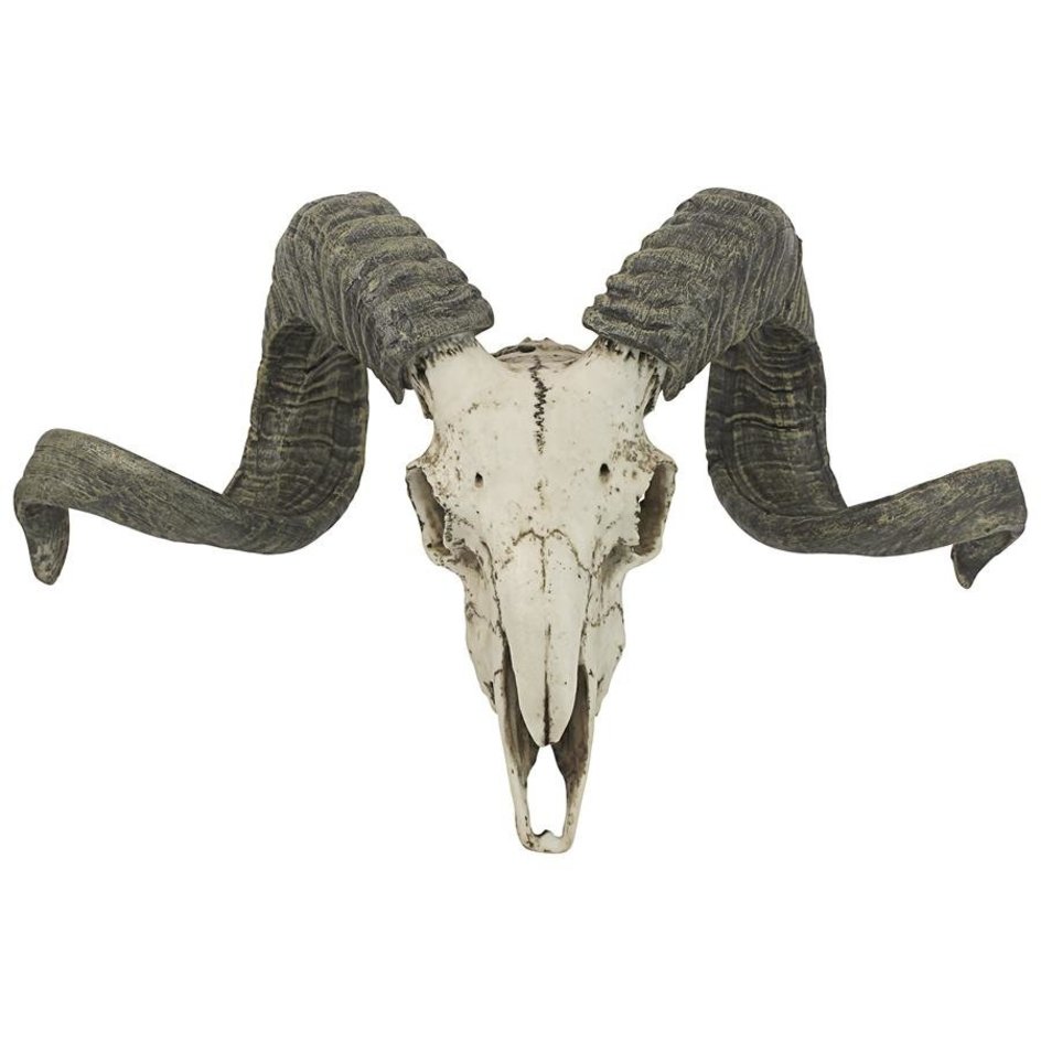 evil ram skull