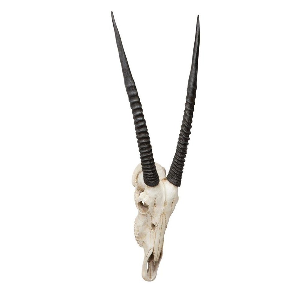 Gemsbok African Wall Trophy - NG31557 - Design Toscano