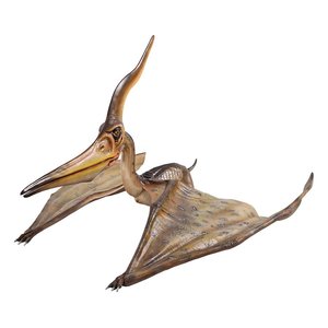 Jurassic-Sized Flying Pteranodon Ingens Dinosaur Statue