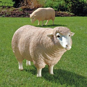 Merino Ewe Life-Size Sheep Statue: Head Up