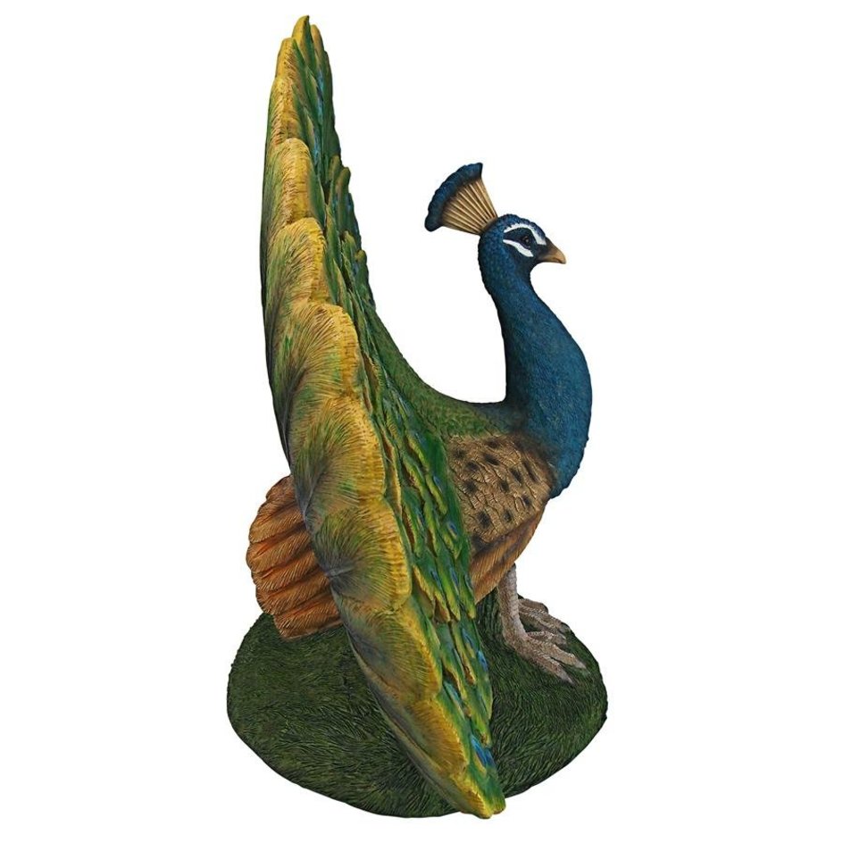 Peacock Plumage Garden Statue - QM2876100 - Design Toscano