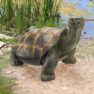 The Curious Turtle Elephant Tortoise Statue