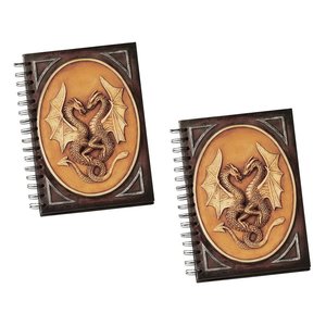 The Dragon Sentinels' Book of Secrets: Set of Two - PD90087