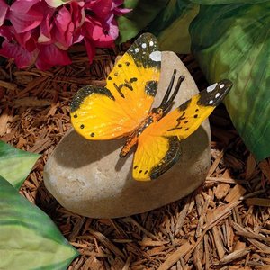Yellow Mocker Swallowtail Butterfly on Rock Statues